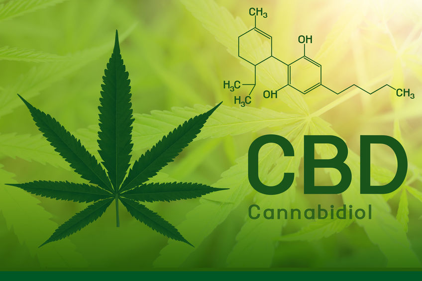 CBD Explained Cannabidiol